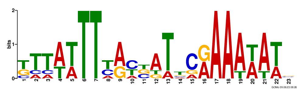 Missing Motif nagC Logo